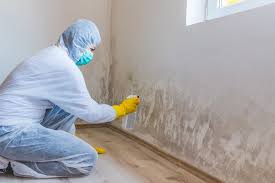 Best Mold Removal for HVAC Installations  in Half Moon Bay, CA